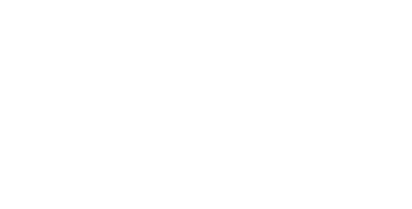 Auto Parts Solution (APS)