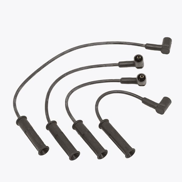 Ignitions Leads