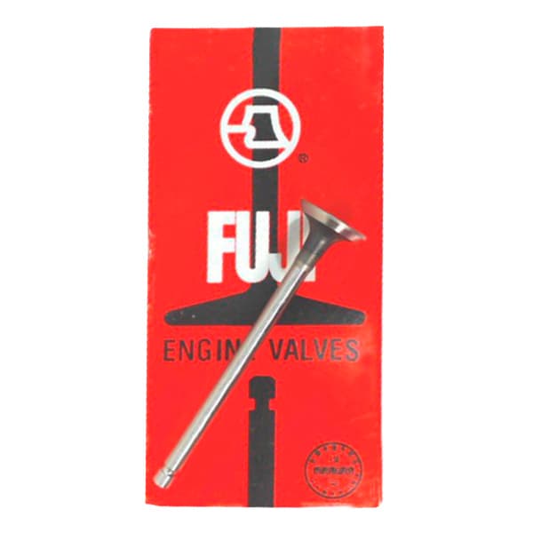 Fuji Válvulas de Motor