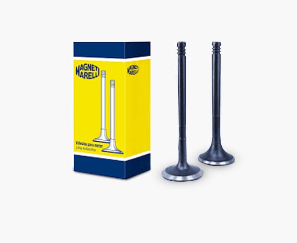 Engine Valves